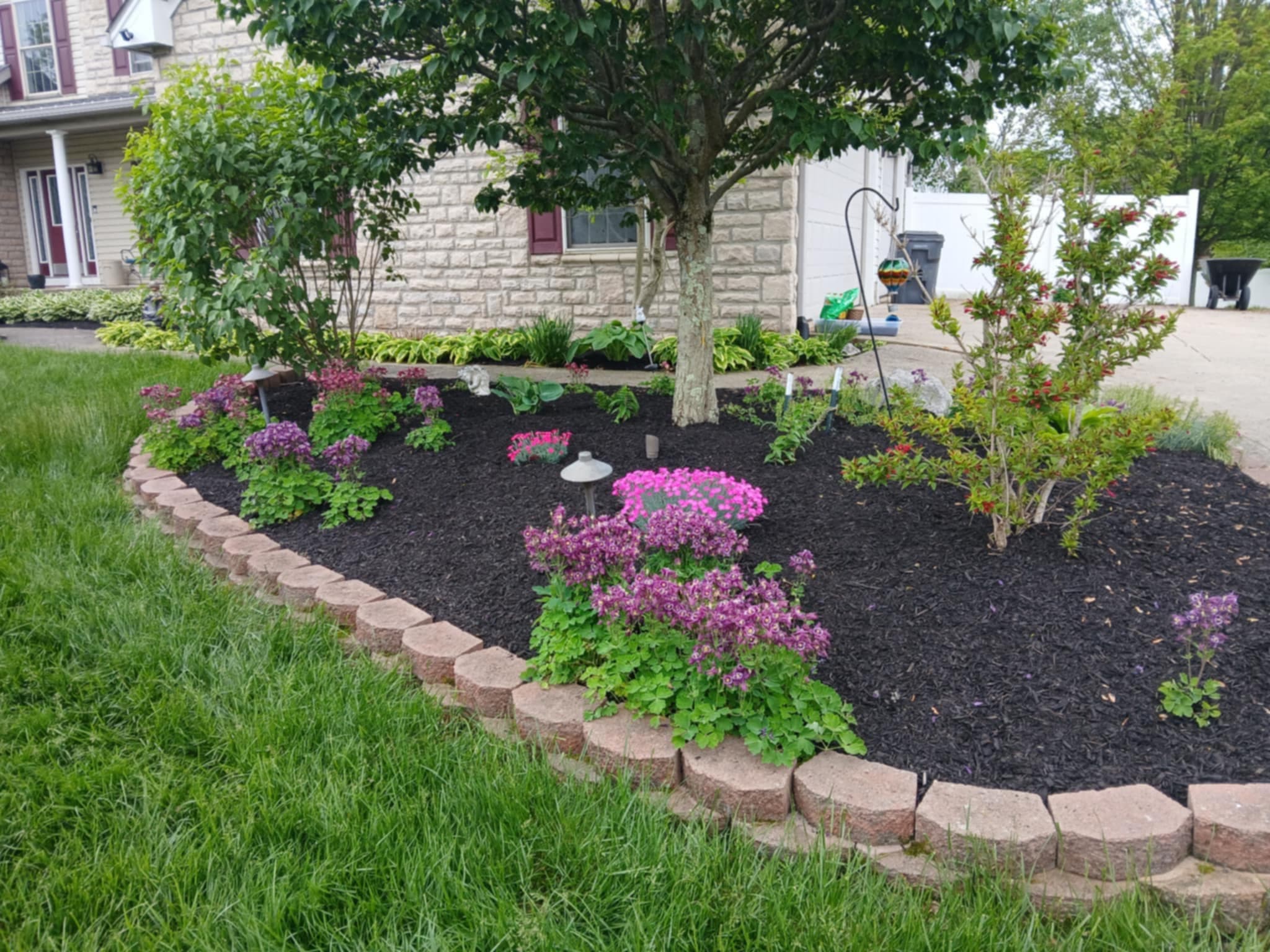 Landscaping project 5