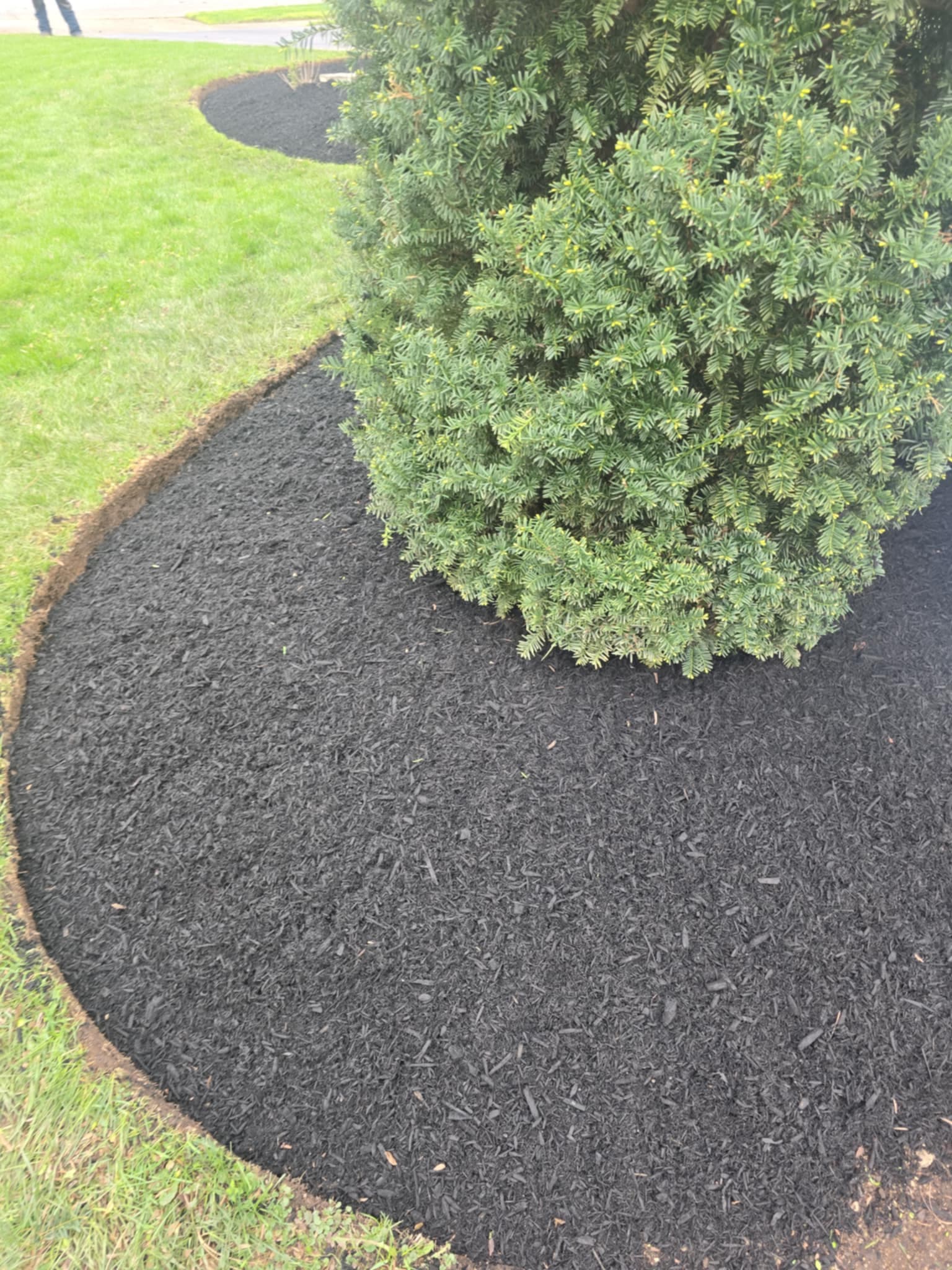 Landscaping project 9