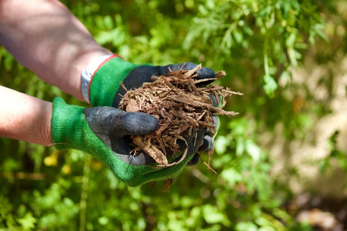 10 Benefits of Mulching Your Garden Beds