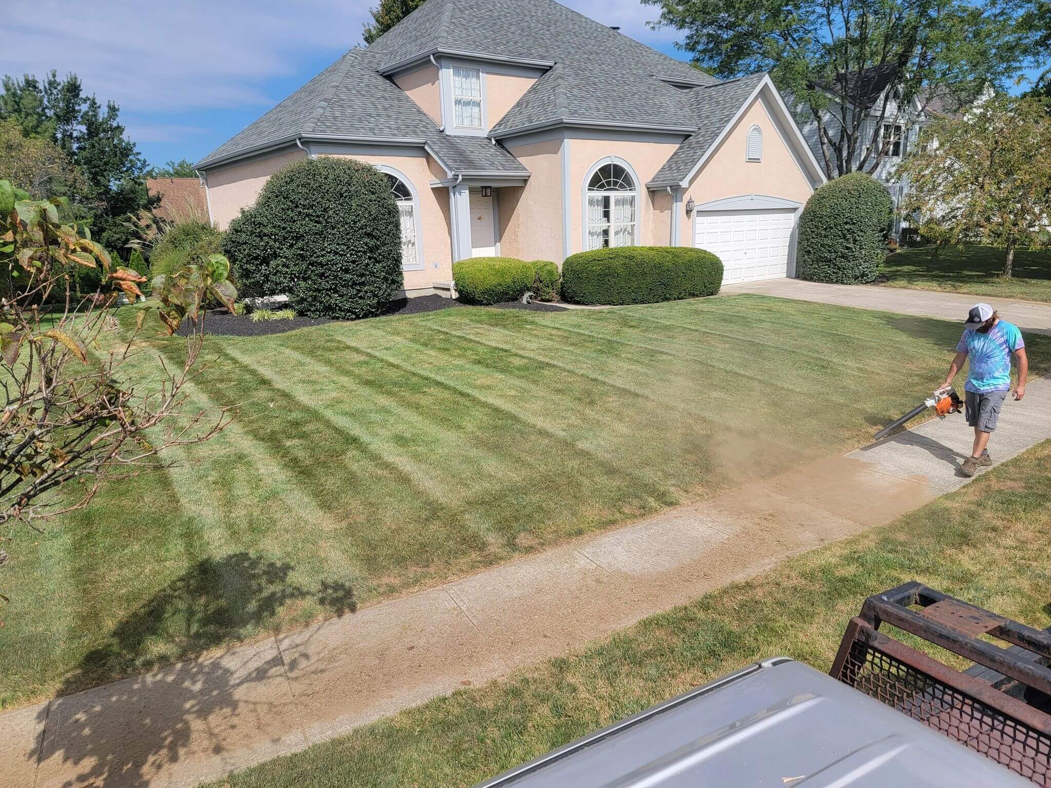 Professional landscape transformation