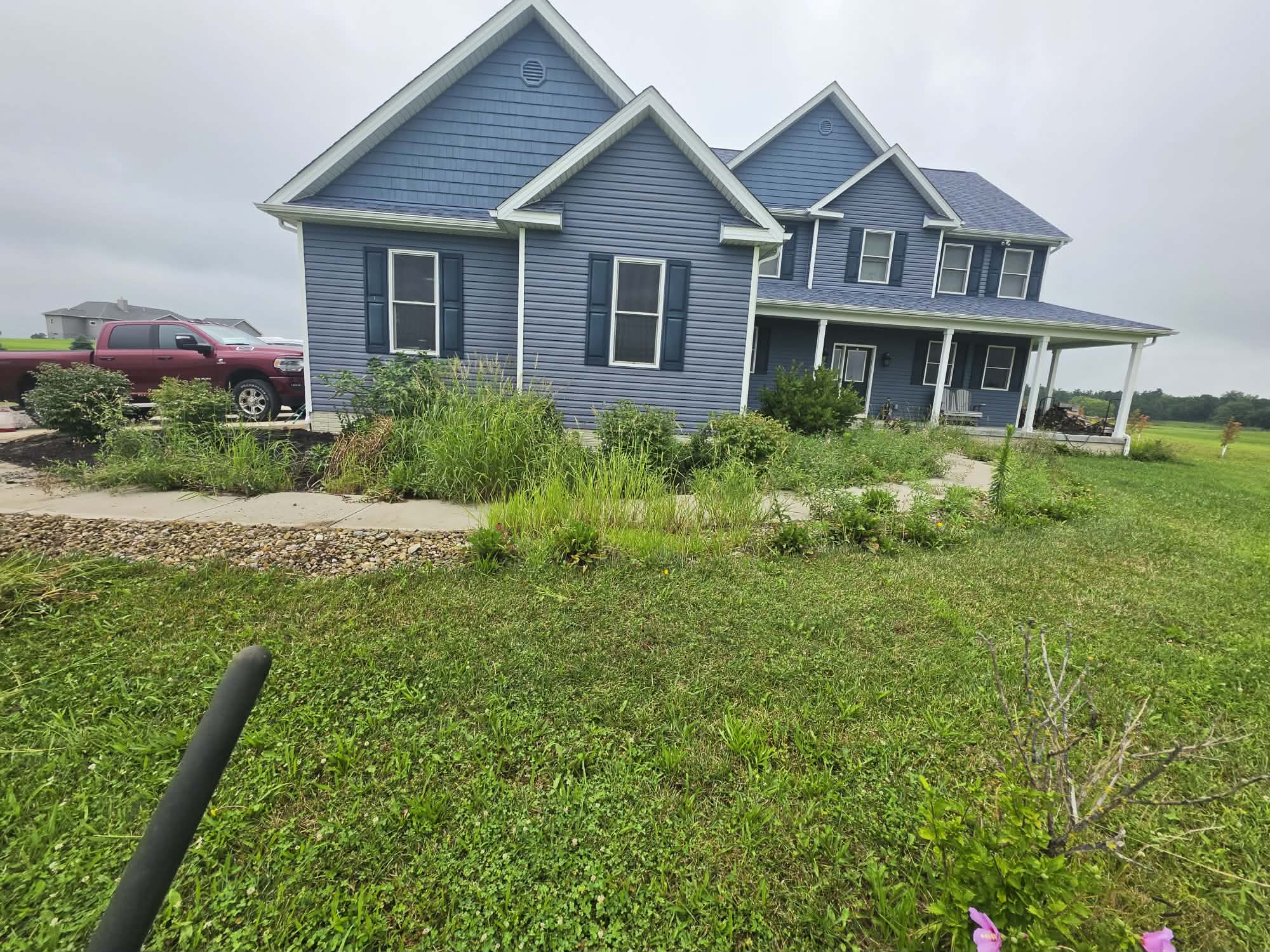 Angled view of overgrown landscape beds and buried walkway before bed restoration