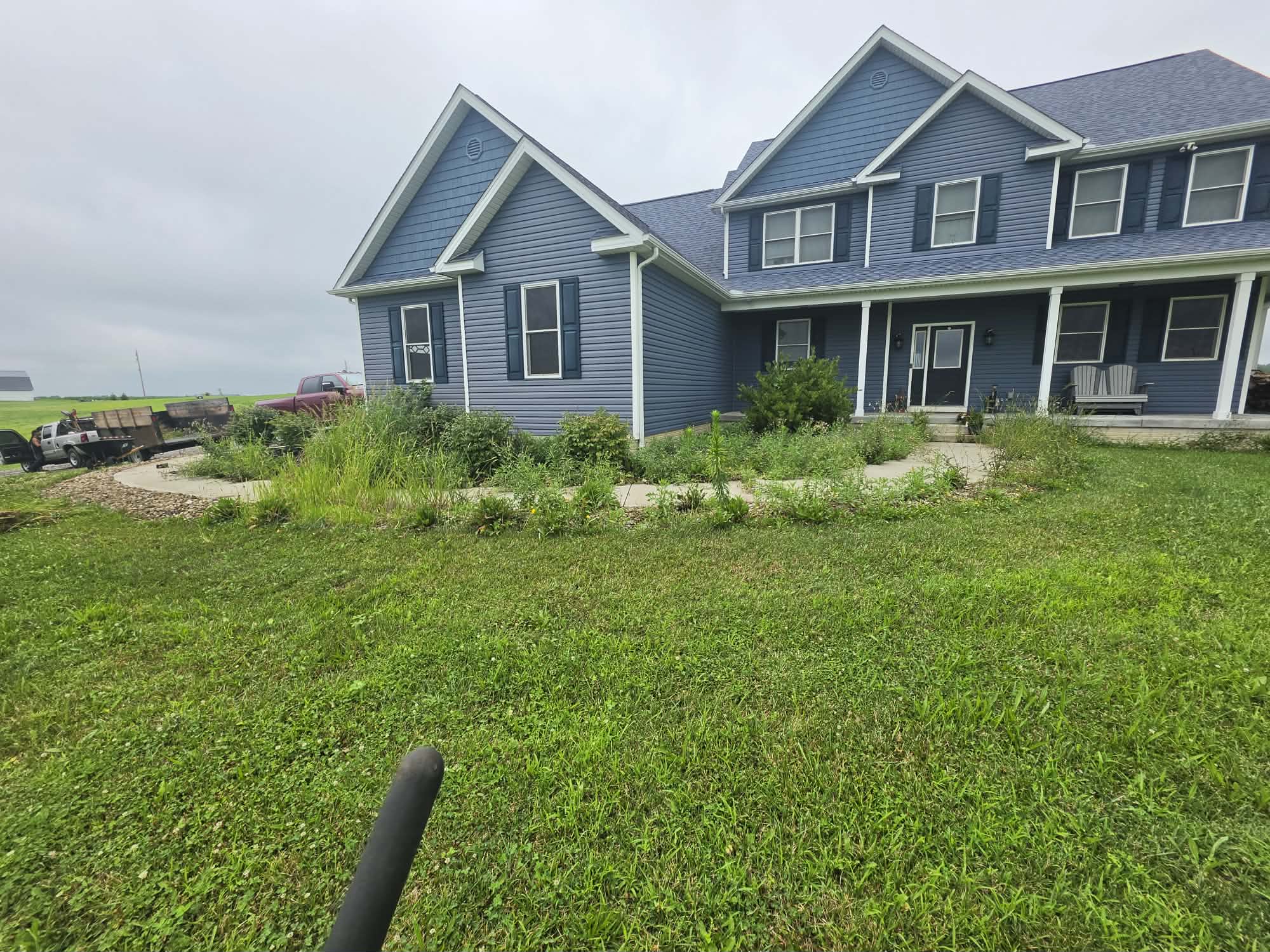 Overgrown foundation beds with weeds obscuring the front walkway before restoration